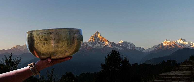 Himalayan Healing Project